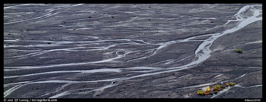 Sand bar and braided river. Denali National Park (color)
