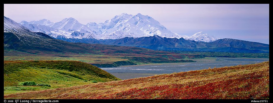 Mount McKinley rises above autumn tundra. Denali National Park, Alaska, USA.