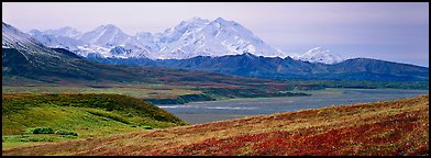 Mount McKinley rises above autumn tundra. Denali National Park (Panoramic color)