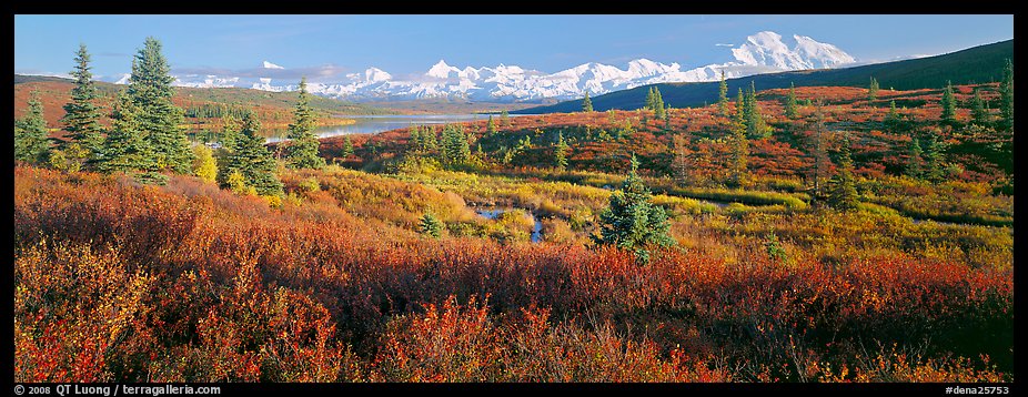 Seasons passing on the tundra. Denali National Park (color)