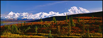 Tundra landscape with Mount McKinley. Denali National Park (Panoramic color)