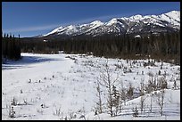 Riley Creek in winter. Denali National Park, Alaska, USA.