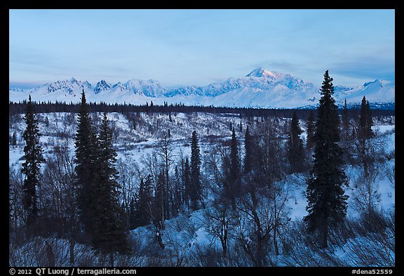 Alaska range and boreal forest in winter. Denali National Park (color)