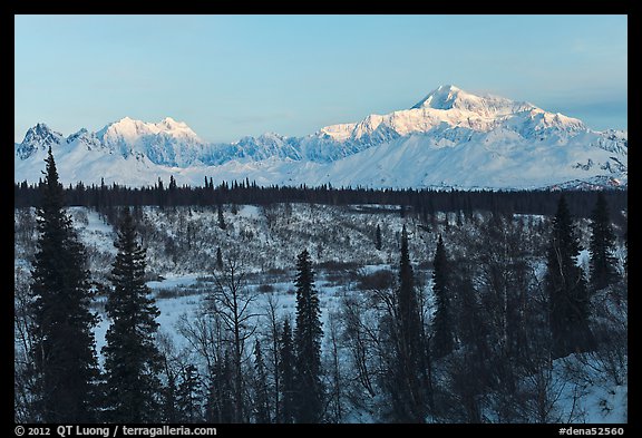 Alaska range peaks rising above forest at sunrise. Denali National Park (color)