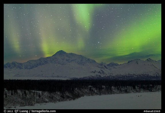Northern lights above Mt McKinley. Denali National Park, Alaska, USA.