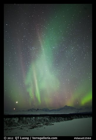 Aurora above Mt McKinley, winter. Denali National Park, Alaska, USA.