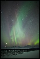 Aurora above Mt McKinley, winter. Denali National Park, Alaska, USA. (color)