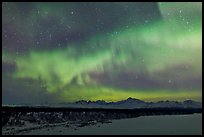 Aurora and stars above Alaska range. Denali National Park, Alaska, USA. (color)