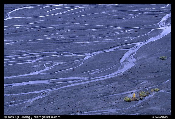 Braids of the  McKinley River on sand bar near Eielson. Denali  National Park