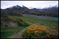 Alaska Range from Eielson. Denali National Park ( color)