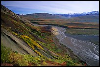 Braided river from Polychrome Pass, morning. Denali National Park, Alaska, USA. (color)