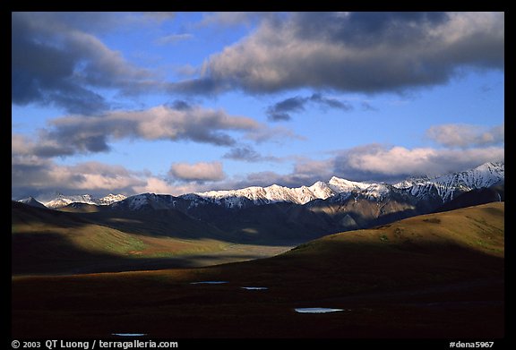 Alaska Range and clouds from Polychrome Pass, evening. Denali National Park (color)