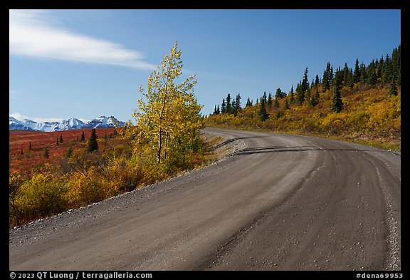 Unpaved section of park road and Alaska Range. Denali National Park, Alaska, USA.