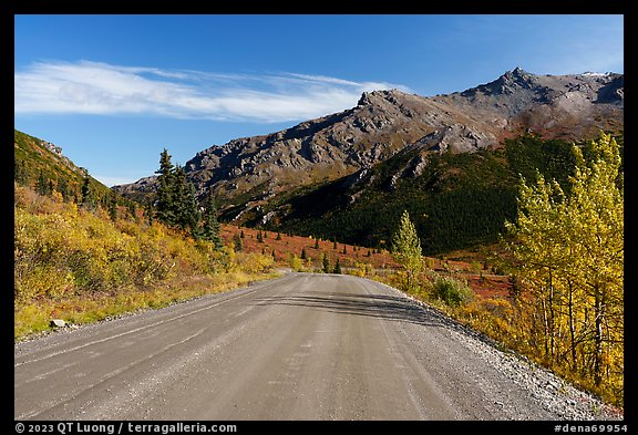 Unpaved section of park road and Mt Healey Range. Denali National Park, Alaska, USA.