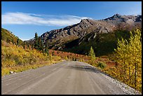Unpaved section of park road and Mt Healey Range. Denali National Park ( color)