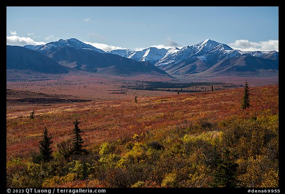 Tundra in autumn and Alaska Range. Denali National Park, Alaska, USA.