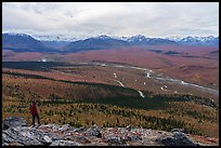 Visitor looking, Savage River and Alaska Range. Denali National Park ( color)