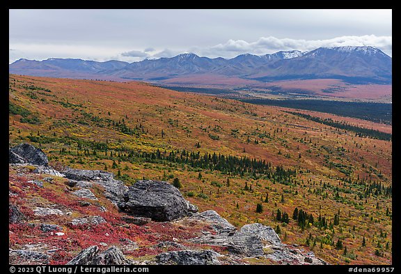 View from Savage Alpine Trail in autumn. Denali National Park (color)