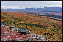 View from Savage Alpine Trail in autumn. Denali National Park ( color)