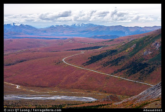 Savage River and park road from above. Denali National Park, Alaska, USA.