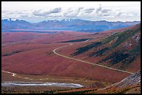 Savage River and park road from above. Denali National Park ( color)