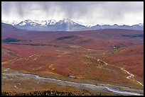 Savage River, tundra in autum color, and Alaska Range with rain. Denali National Park ( color)