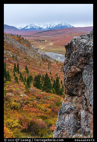 Rock outcrop, Savage River, and Alaska Range. Denali National Park, Alaska, USA.