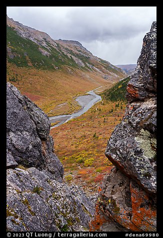 Savage River Valley through opening between rocks. Denali National Park (color)