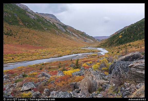 Savage River Valley in autumn. Denali National Park, Alaska, USA.