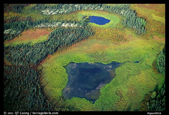 Aerial view of lake, tundra and taiga. Gates of the Arctic National Park, Alaska, USA.