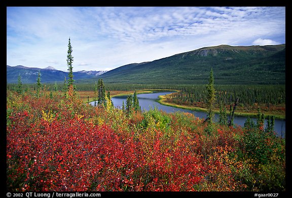 Alatna River valley near Circle Lake. Gates of the Arctic National Park (color)