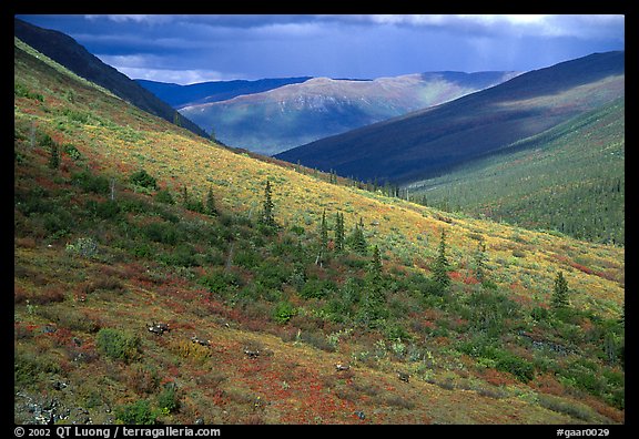 Arrigetch valley with caribou. Gates of the Arctic National Park (color)
