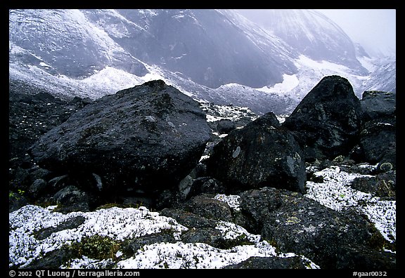 Boulders at the base of Arrigetch Peaks. Gates of the Arctic National Park (color)