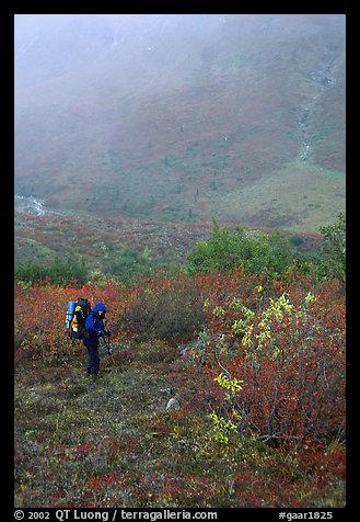 Backpacker in Arrigetch Valley. Gates of the Arctic National Park, Alaska