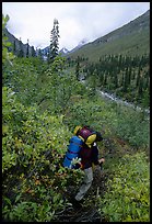 Backpacker in Arrigetch Creek. Gates of the Arctic National Park, Alaska ( color)