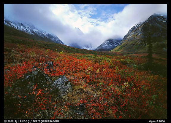 Arrigetch Peaks, tundra in fall colors, and clearing storm. Gates of the Arctic National Park (color)