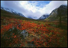 Arrigetch Peaks, tundra in fall colors, and clearing storm. Gates of the Arctic National Park, Alaska, USA.