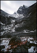 Arrigetch peaks. Gates of the Arctic National Park ( color)