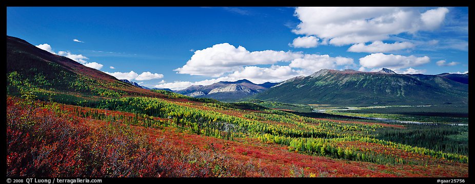 Boreal forest in autumn. Gates of the Arctic National Park (color)