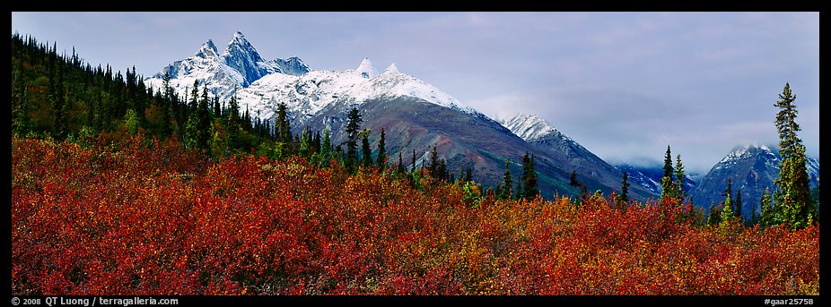 Taiga landscape in the fall. Gates of the Arctic National Park (color)