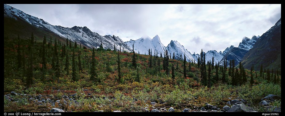 Taiga forest and peaks with fresh dusting of snow. Gates of the Arctic National Park (color)