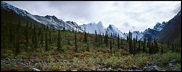 Taiga forest and peaks with fresh dusting of snow. Gates of the Arctic National Park, Alaska, USA.