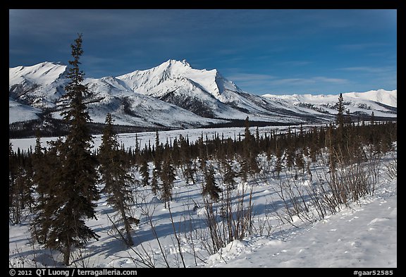 Winter landscape. Gates of the Arctic National Park, Alaska, USA.