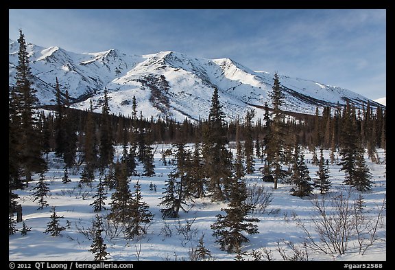 Boreal forest and brooks range in winter. Gates of the Arctic National Park, Alaska, USA.