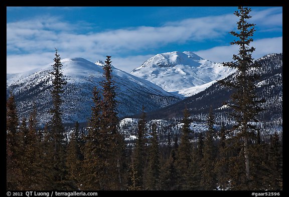 Boreal forest and snowy Brooks Range. Gates of the Arctic National Park (color)