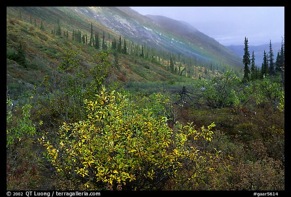 Arrigetch Valley in autumn. Gates of the Arctic National Park (color)