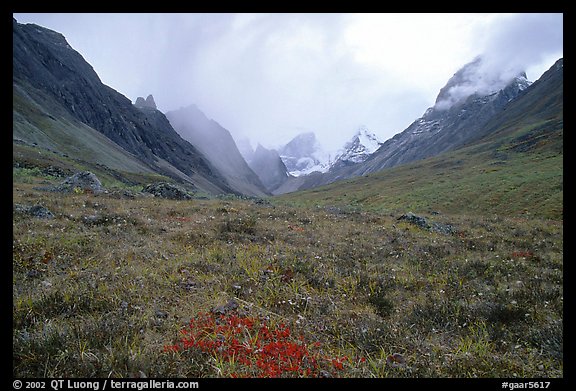 Tundra and Arrigetch Peaks. Gates of the Arctic National Park, Alaska, USA.