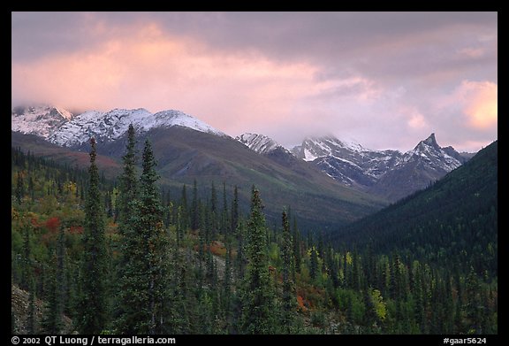 Arrigetch Peaks from Arrigetch Creek entrance at sunset. Gates of the Arctic National Park, Alaska, USA.
