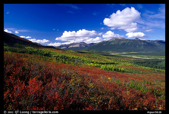 Alatna River valley. Gates of the Arctic National Park (color)