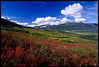 Alatna River valley. Gates of the Arctic National Park, Alaska, USA.